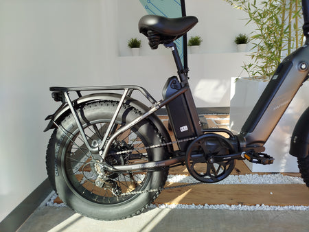 FAFREES FF20 Polar HS veicolo elettrico pieghevole con pneumatici fat da 20 pollici