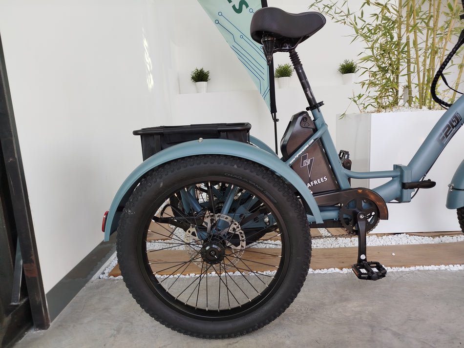 Fafrees Triciclo F20 Mate HS