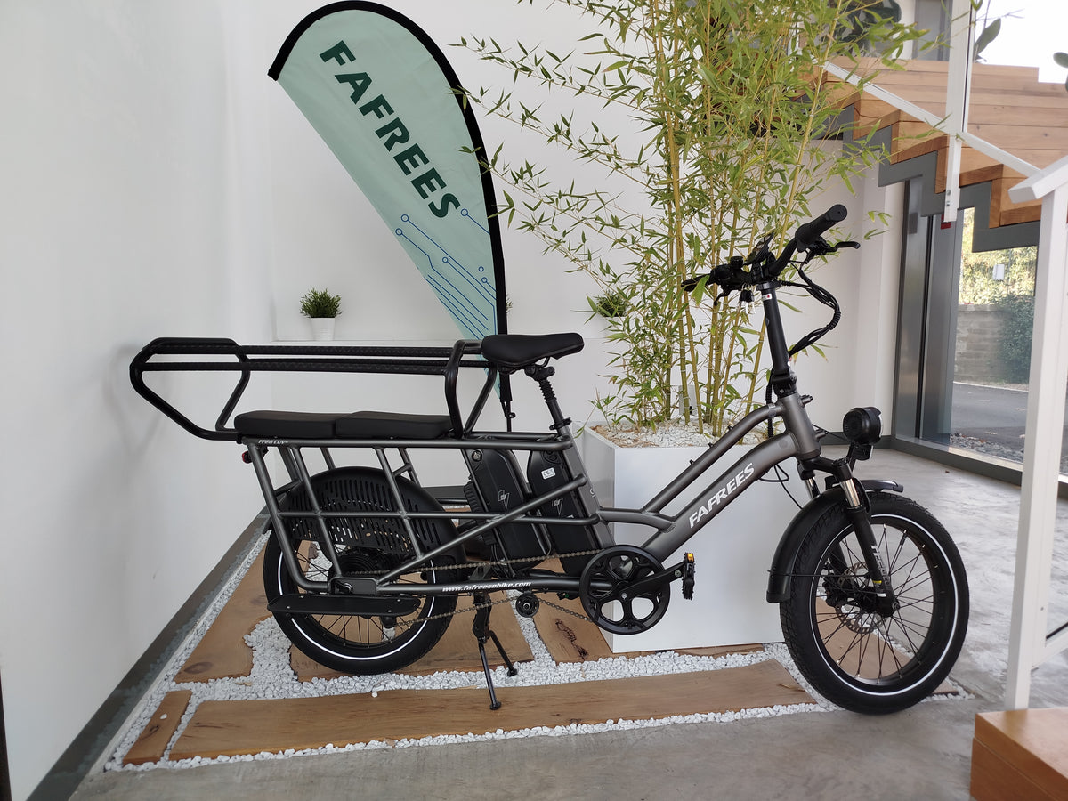 Fafrees FF20 CUV e-bike cargo longtail Grigio Cannone