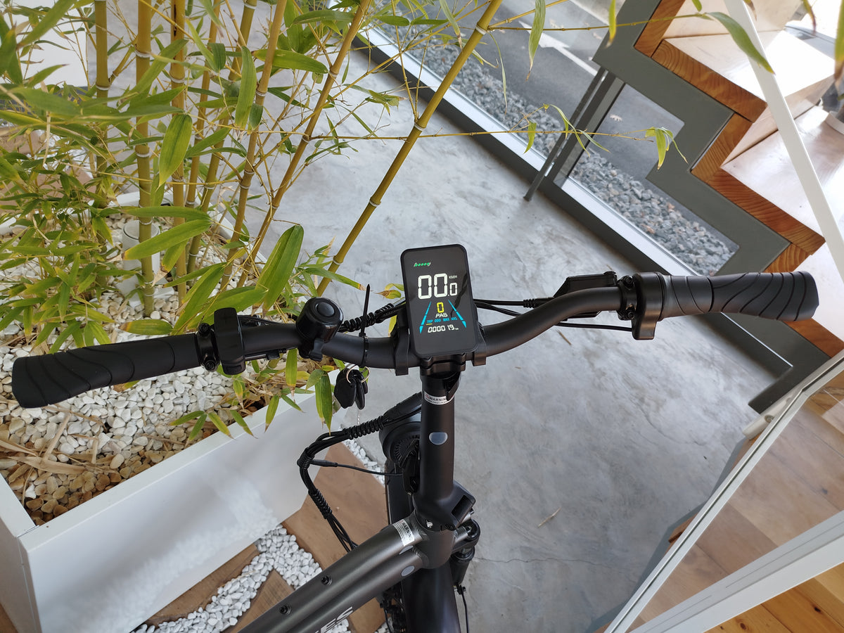 Display LCD a colori Fafrees FF20 CUV