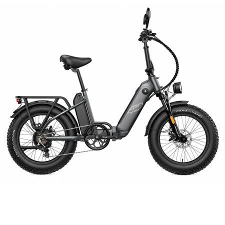 FAFREES FF20 Polar HS veicolo elettrico pieghevole con pneumatici fat da 20 pollici